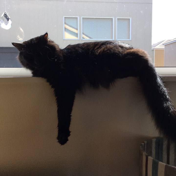 C48c4563 e8d8 4651 8019 f491d5862ad1