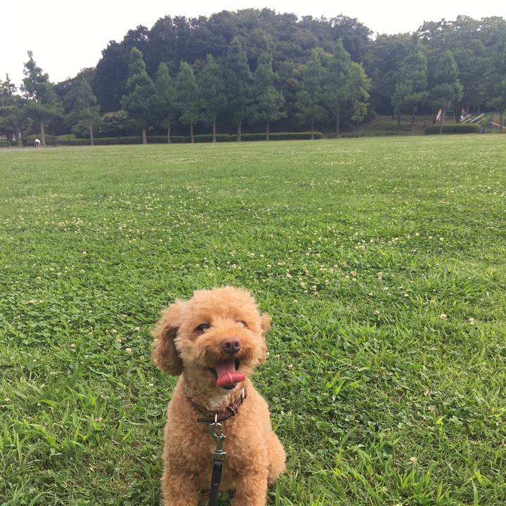 C48c546e 2ca1 4c82 b71f 4b9e8cd82ecf