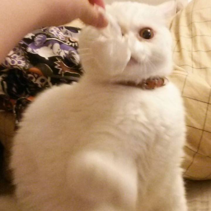 C48caa51 3c29 42f0 9e70 94603da59a30