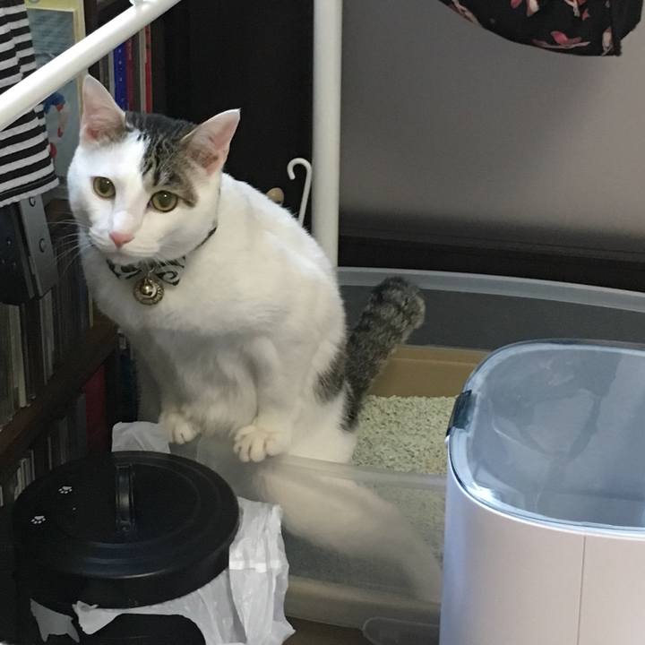 C48d128d bb73 4411 80ae a5217b3e044c