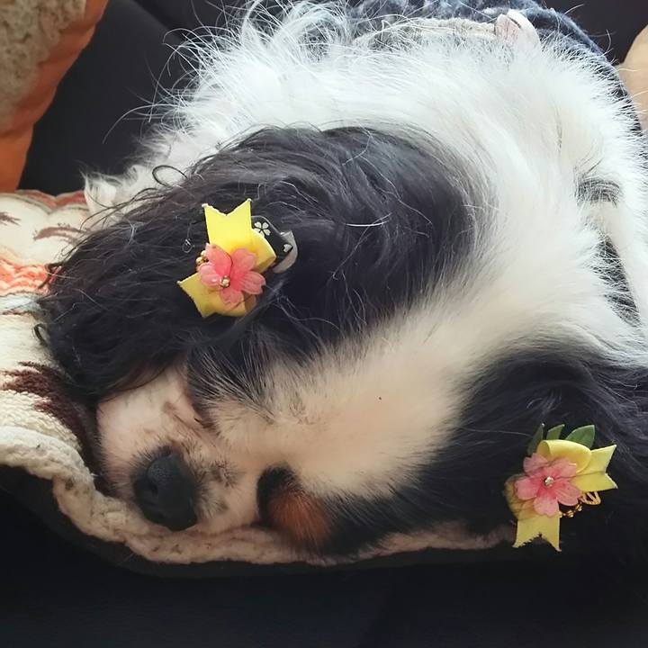 C48d878d f811 43c7 83ad 3140c4b257a0