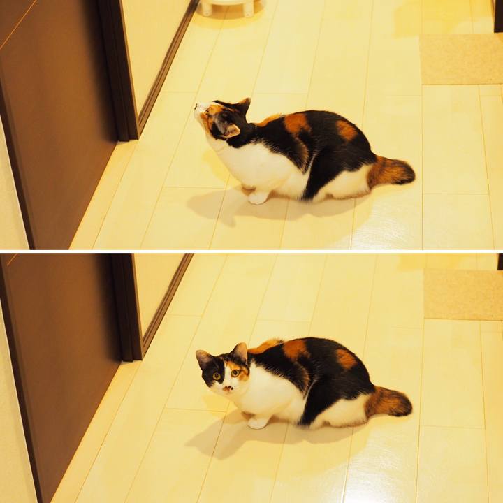 C48dac89 b00b 4ba1 91e5 74b5e3dd0bdb