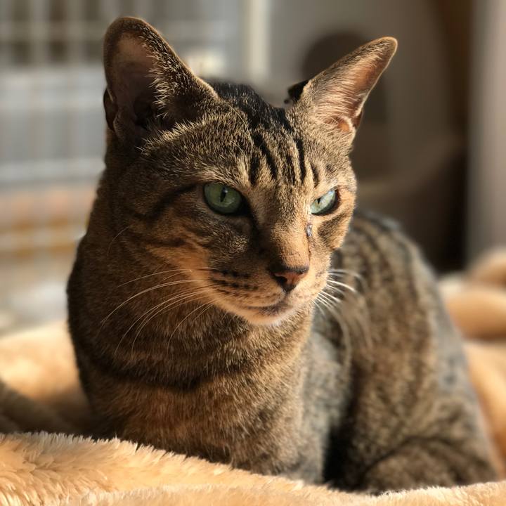 C48ed58f 4c94 4790 afd6 8f59ce661485