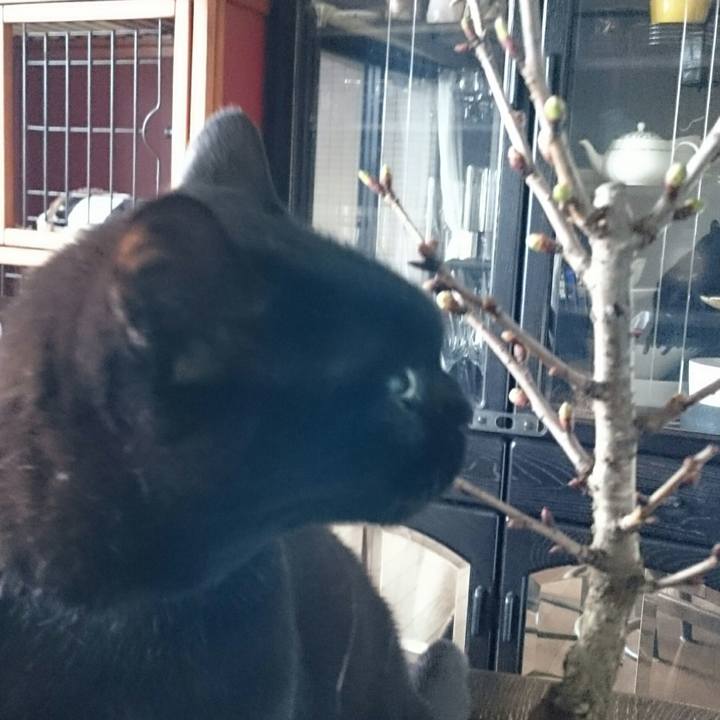 C48ef573 3050 4e12 9156 10a440dff427