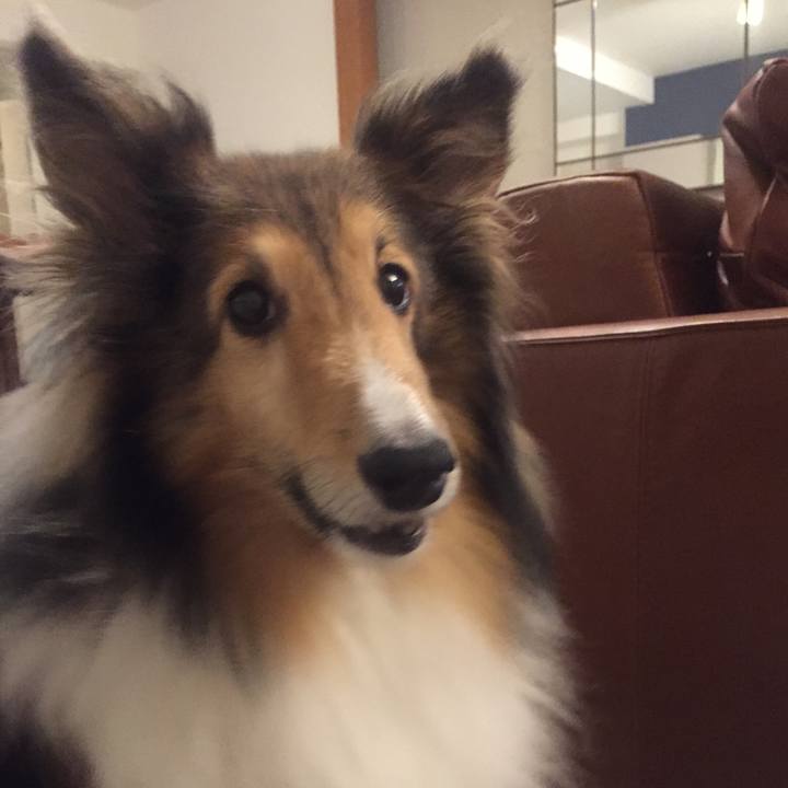 C48f290e 29d9 47c1 898a 014e57c5009e