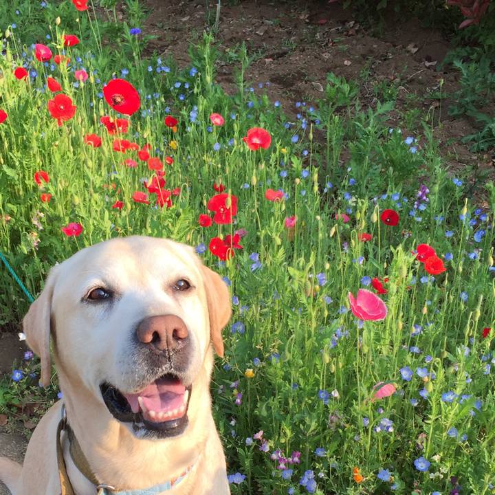 C48fa7df abc0 4ca1 ba25 c1e933c08e70