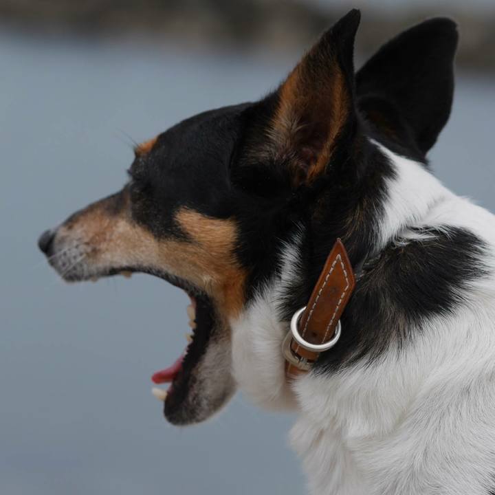 C4901e37 1554 4b99 a942 d08a00caa077