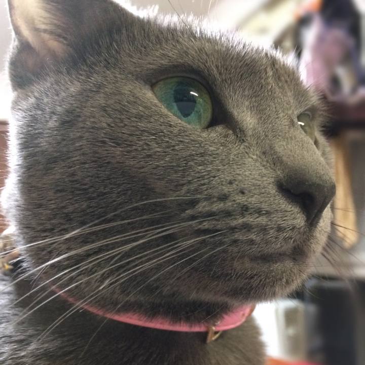 C4903dc2 ef24 449d 8c5d 2c850a45bfc5