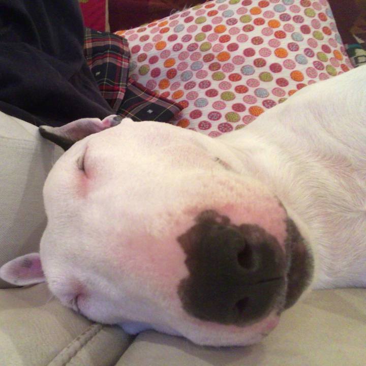 C490d9be 73a0 409d 95d8 a01ad15e6d9f