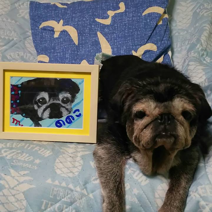 C4912e4b 5457 4f59 861e 07913ff0943f