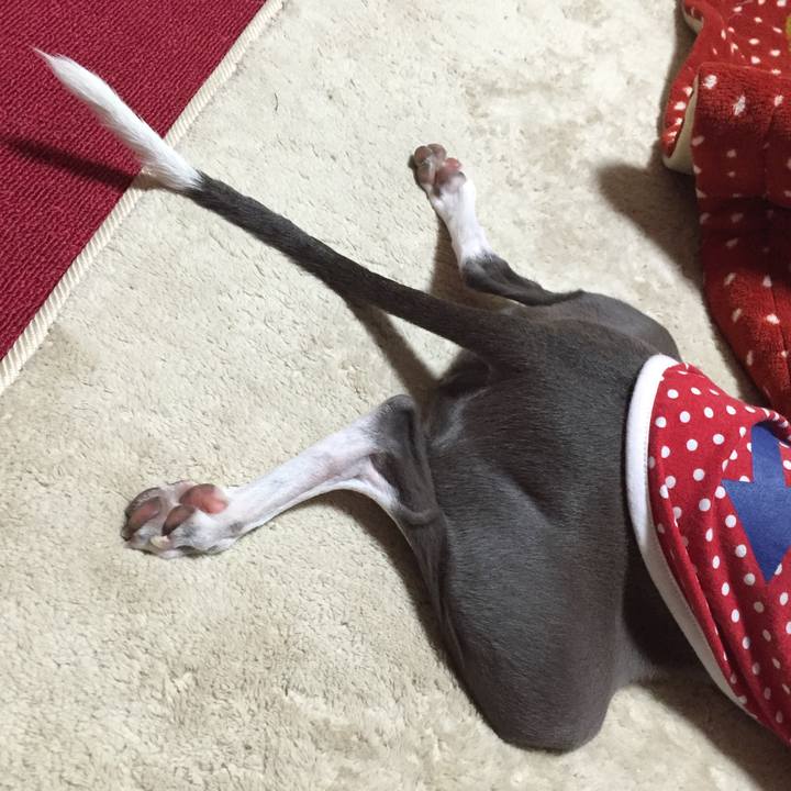 C4916c67 4be3 4f7d 9a60 5c29240659c0