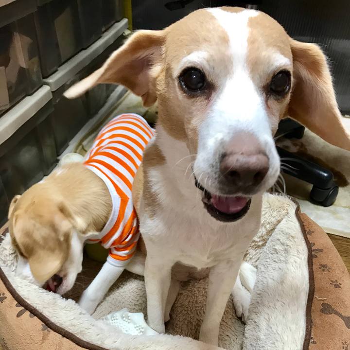 C49180ce 248b 475c 8834 d3777f71712d