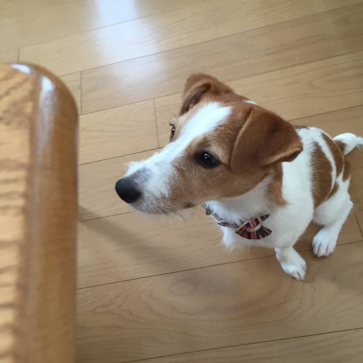 C4919ccf d50e 47cf 8cef 850d6f412bc4