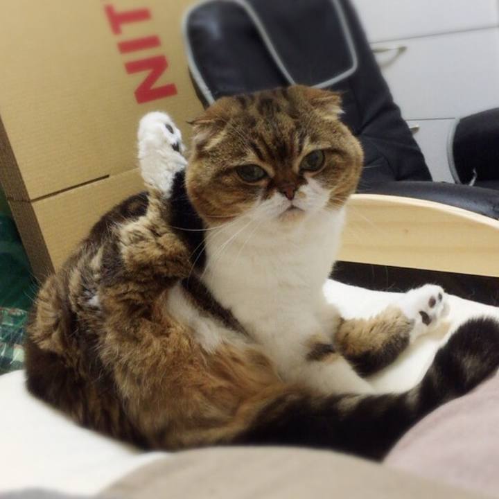 C492c6b0 e9e5 4ac8 8e61 2d6cf5f66462