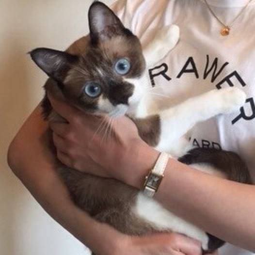 C492f6a3 a4bd 48d6 a828 84da3c0858ec