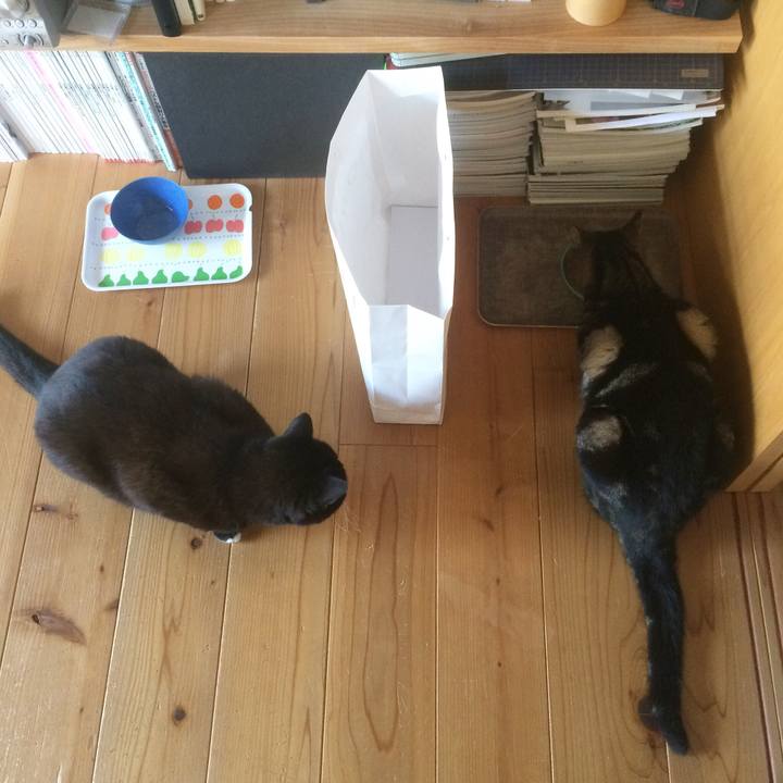 C493ac1b 07d8 4c22 bc41 5d990821d1b8