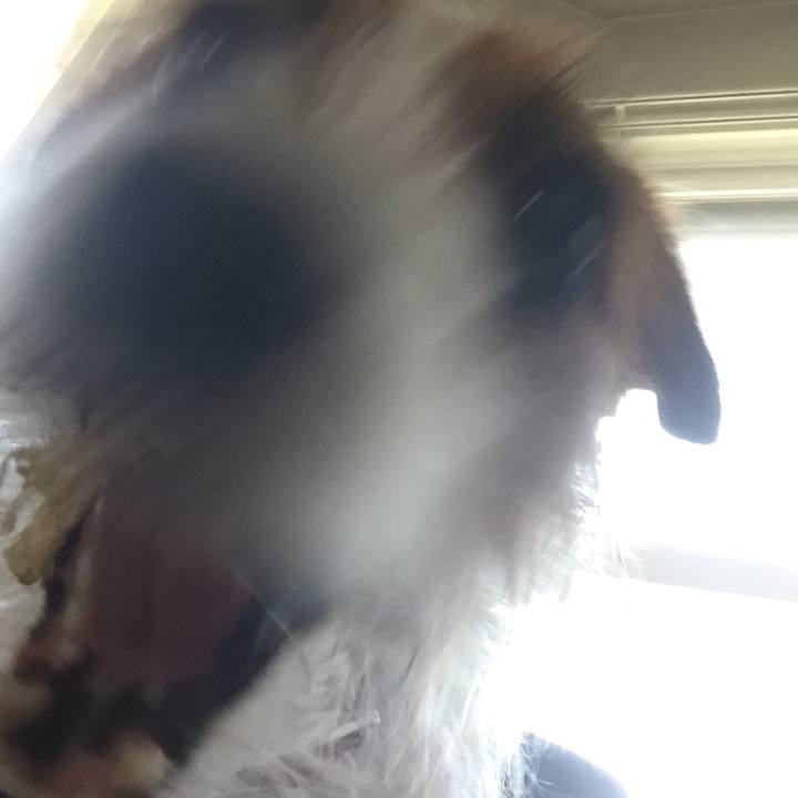 C493f9cf 25b6 417b a19b 550f1ddf95f6