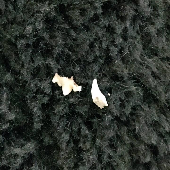 C4940ae1 72f5 46a4 b2e8 ea953c4b6dce