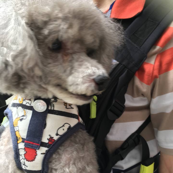 C494311a 3d92 4834 a48d db171ab8c0b9