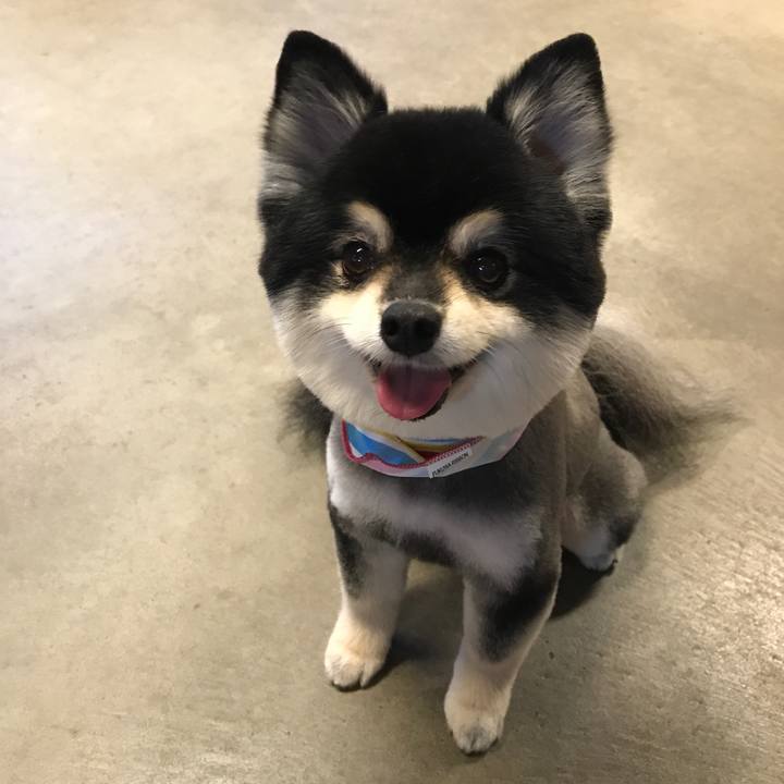 C4943f2d 8475 4170 9aea 33f34eed9deb