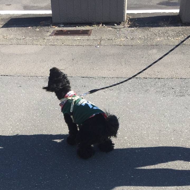 C4947470 8cad 4eba 9377 39d19defae6d