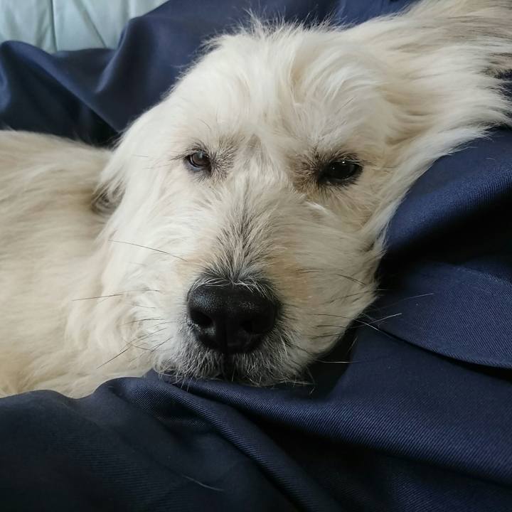 C4947bd6 a612 4db8 a07e 58b5c80bb404