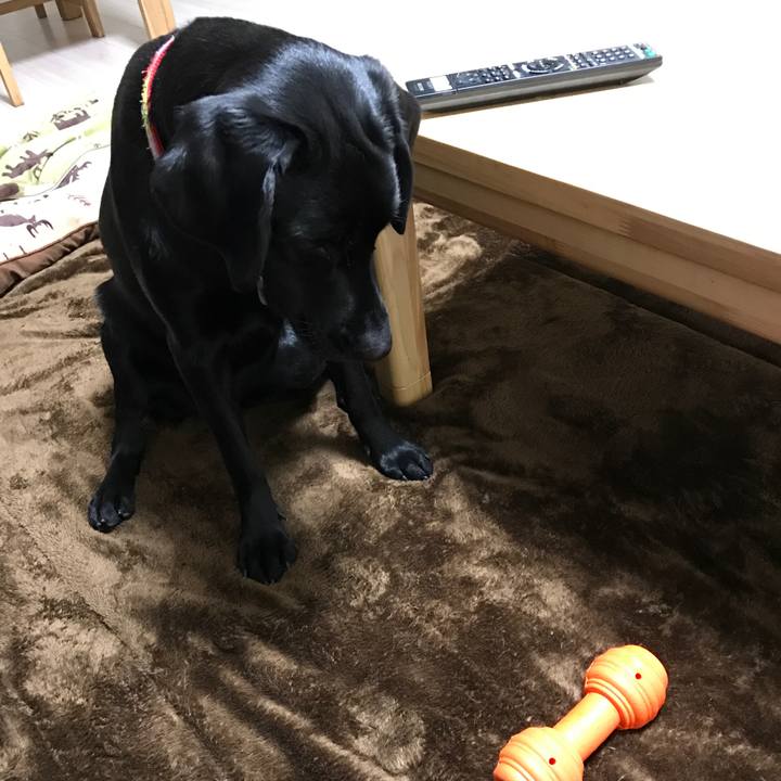 C494d26a 0dde 4531 a3ee 5b6fda50afbf