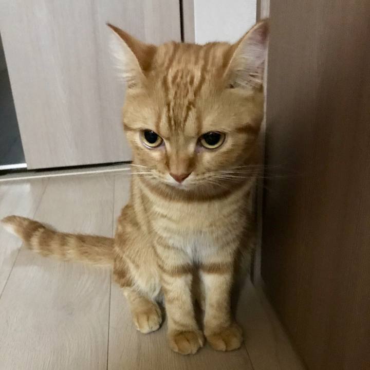 C494d5ee bc4f 4f62 a431 c45ff4bbd760