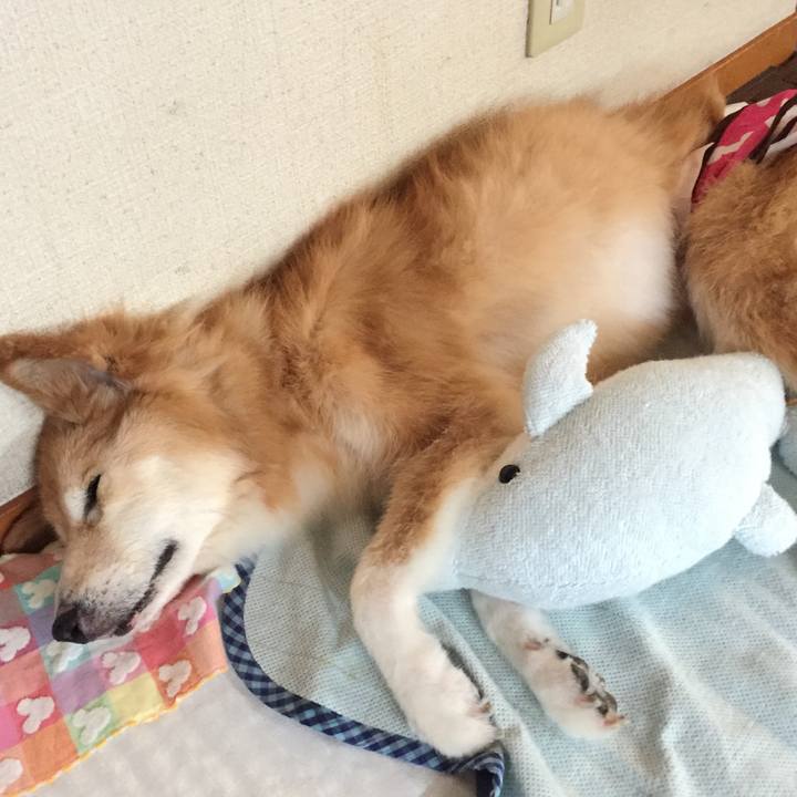 C4957fd7 54d9 4f98 b205 2a0a4d435fe4