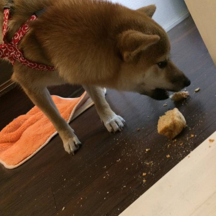 C495e894 13b4 4673 b336 39ef6200b463