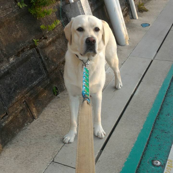 C4965b72 af4e 43a2 871e 7e0598f0112b