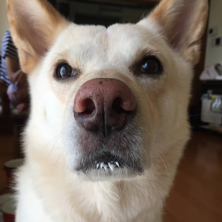 C4967639 7d93 493e 98bc a5c75e711842