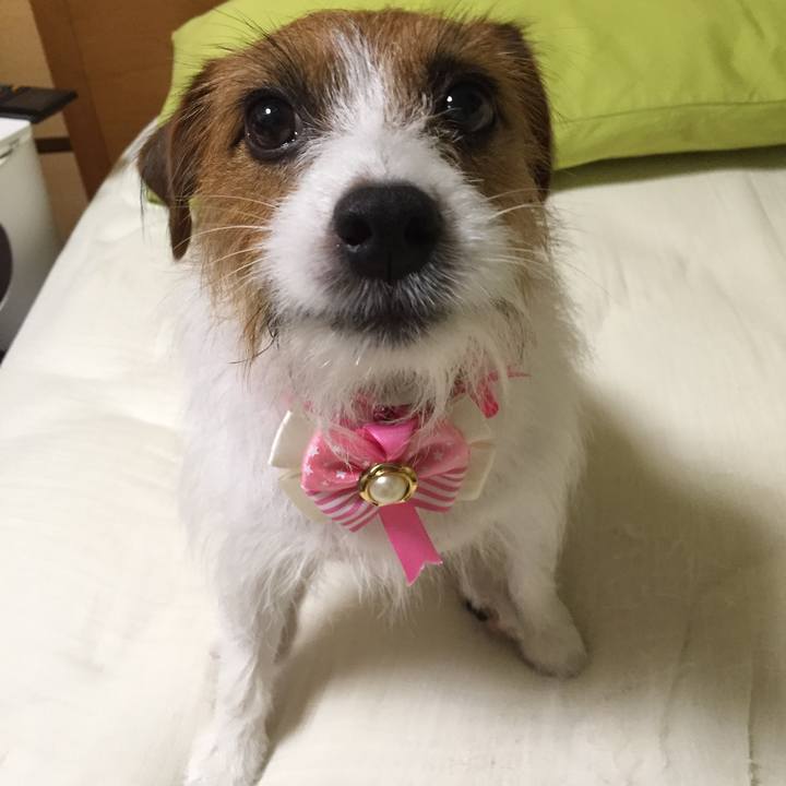 C4968c01 8746 47e9 a56d e6aa7e1c6f8d