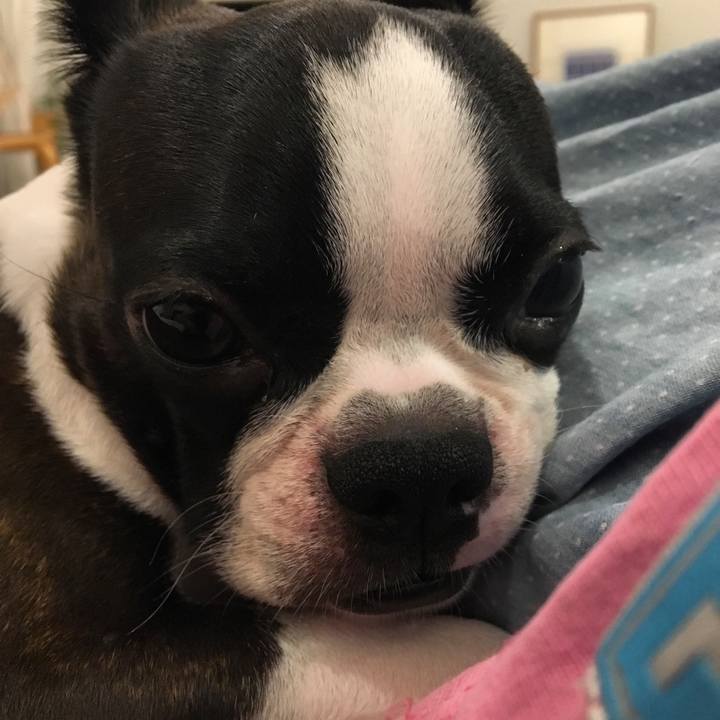 C4969857 55db 4d17 a244 36a33d0dd292