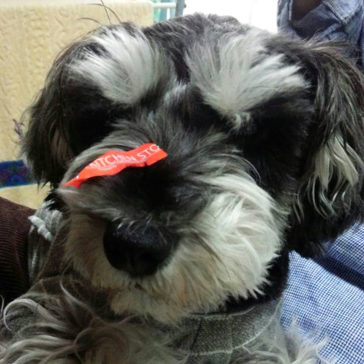 C496f5fb 1f18 4dd2 b42d 0ca070928a7c