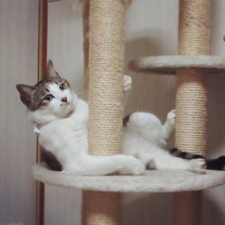 C497501e 9b2b 454c 85b3 58df62832f6d