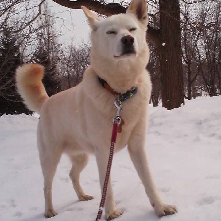 C4982d43 dc1f 4825 9009 0b507d6dee1c