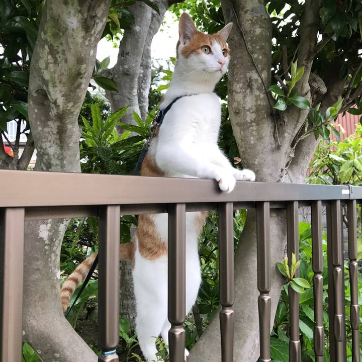 C498aa92 af6d 46e8 9d8f c2d528e203be