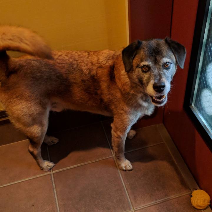 C498ef46 792a 4542 aa68 727f5b2e7f2c