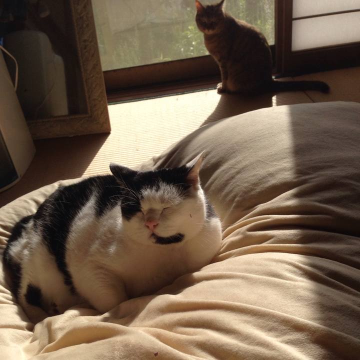 C4993f21 b249 4235 914d af88f64c84c8