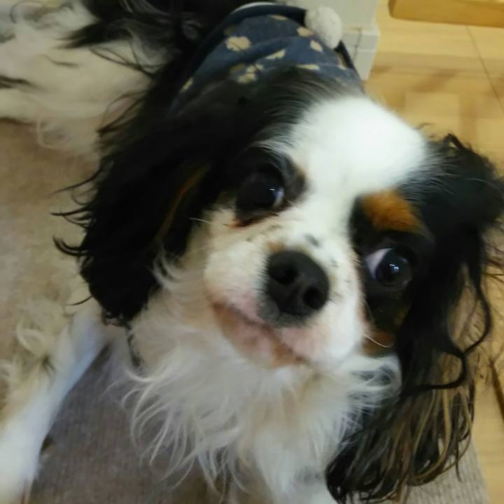 C49a13fe f506 44da ae92 7aa21adacad5