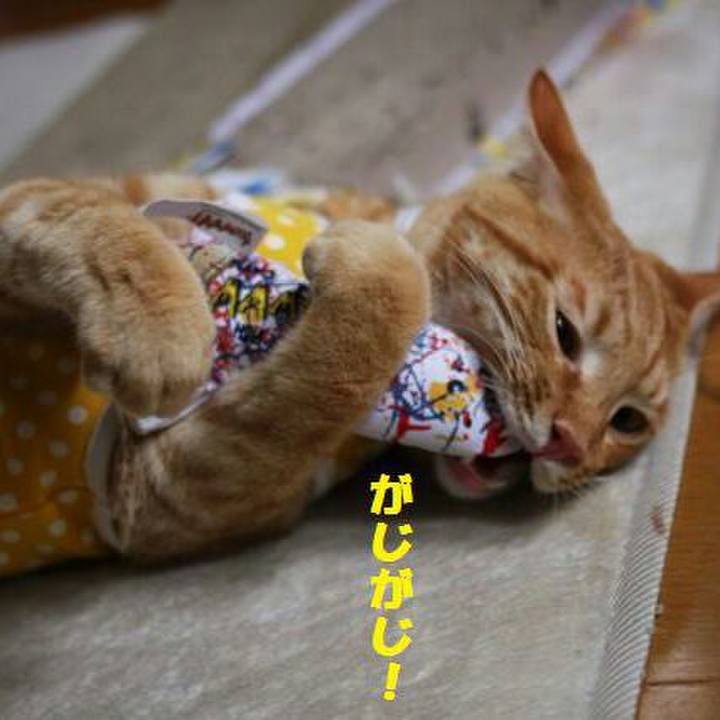 C49b4d3f 6cd7 4463 90c3 7b3ff35bf65f