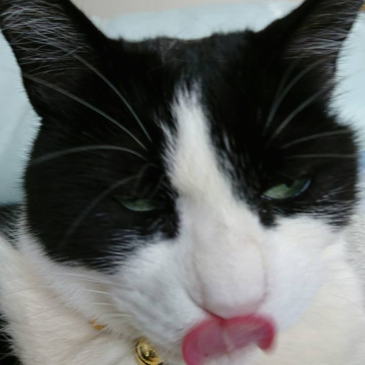 C49b780b b613 49df af2c 74a153455125