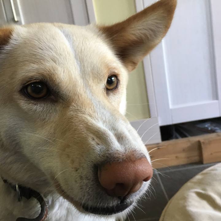 C49bd813 5b99 4880 935e c0efa11a327b