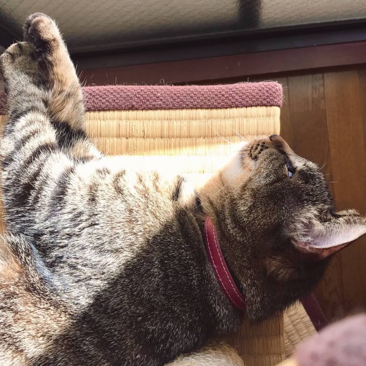 C49c393d 227f 439e 9165 c545d9e37600