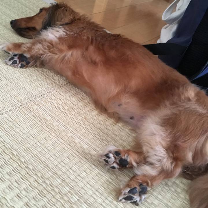 C49ceac1 4567 4edb 9b1a 2e82d1cf07f1