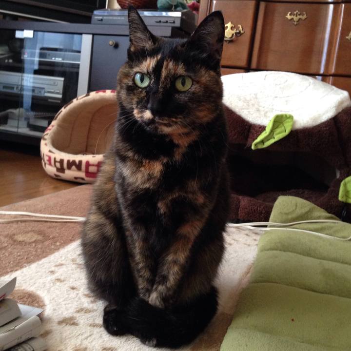 C49ebf71 51fe 4658 b397 50f40dea723e