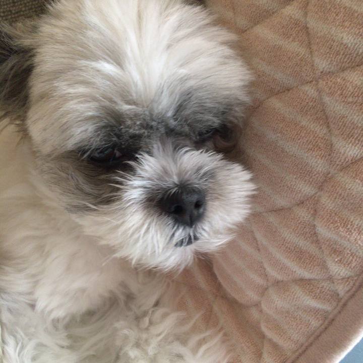 C49f406f a806 4cdc 8d04 8beb9bce9b9e