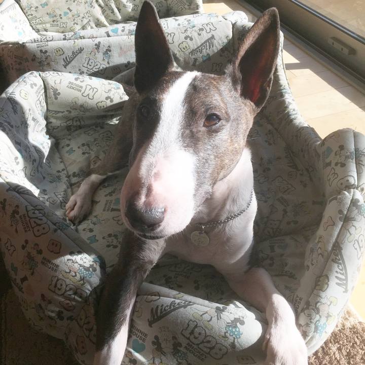 C49f5e2e e8d5 45e6 a4e4 29a88dc92f59