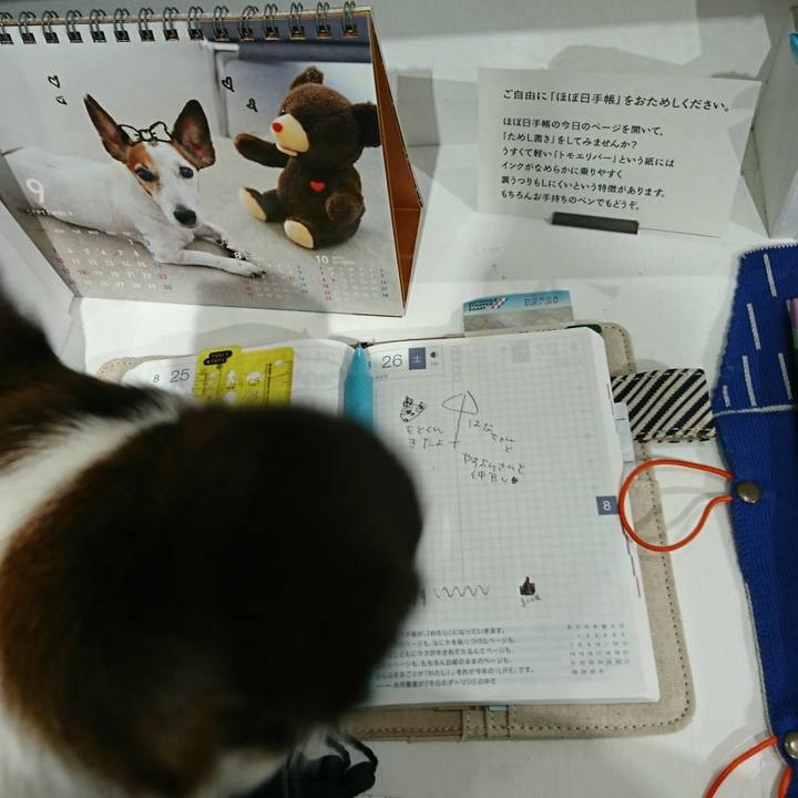 C49fdb37 d15b 4b54 a823 f72b5b0b9e05